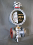 INF type flow meter / flow switch